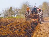 Campagne labours-semailles à Tiaret : 330 000 hectares à emblaver