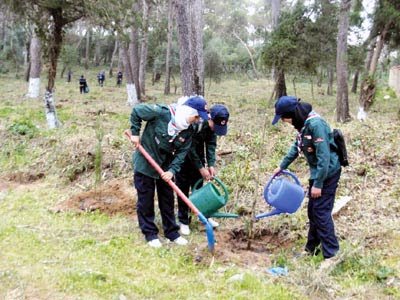 Célébration de la journée nationale de l’arbre – Abdelwahab Nouri à Tipasa « Il faut reconstituer les milliers d’hectares de forêt qui partent en fumée chaque année »