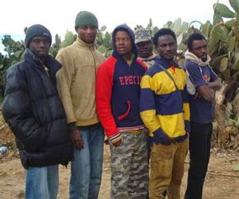 Des experts du ministère de la santé : « Les migrants clandestins ne sont pas ebola! »