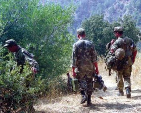 Des groupes terroristes y avaient trouvé refuge : Grande opération de l’anp à tamellahth