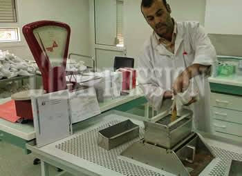 Développement, semences et plants : CNCC, le « garde-fou » de l’agriculture algérienne