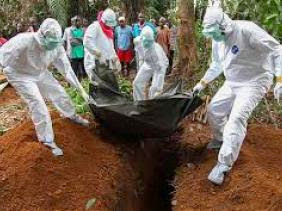 Ebola : en quatre jours, le nombre de mort est passé de 4.033 à 4.493