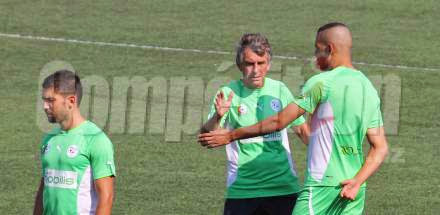 Gourcuff confirme son intérêt pour Ahmed Kashi