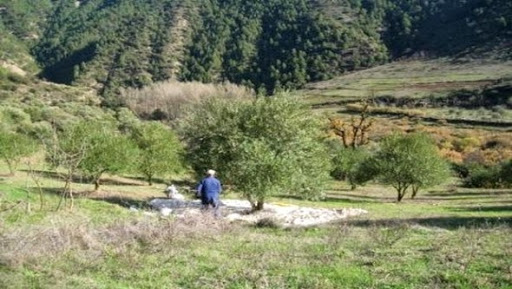 Jijel: les actions de renouveau rural ont favorisé le retour des populations à leurs localités d’origine