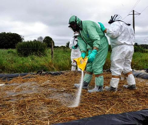 La fièvre aphteuse au Maghreb appelle à la vigilance