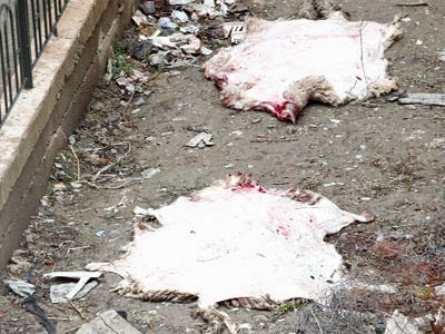 La peau de mouton n’a plus la cote, Une tradition et un patrimoine en perdition