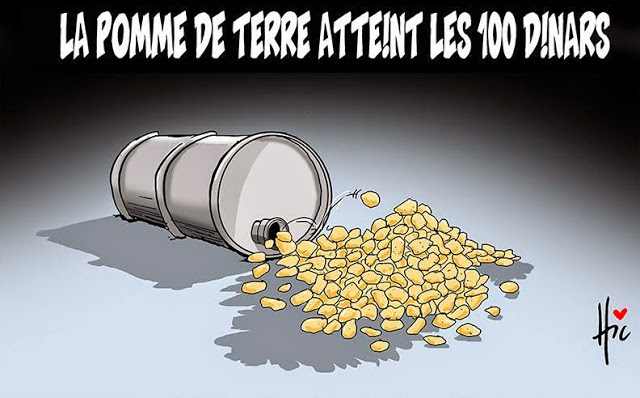 La pomme de terre atteint les 100 dinard