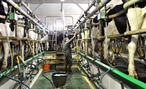 Lait: forte hausse de la facture d&rsquo;importations