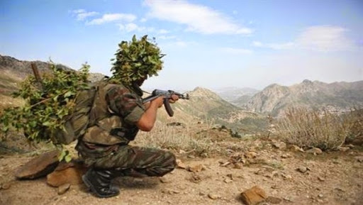 L&rsquo;ANP continue à combattre le terrorisme avec détermination et persévérance (El-Djeich)