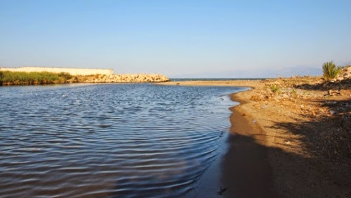 Le chlorure à l’origine de la mort massive de poissons dans l’Oued Soummam