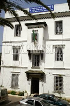 Le ffs, le fln, al adala, le pt, le mpa, le fc et la cldt sur le terrain : Les partis en ordre de bataille