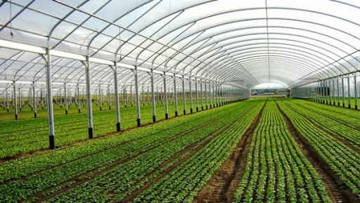 L’insécurité alimentaire, une problématique à régler pour assurer le développement durable