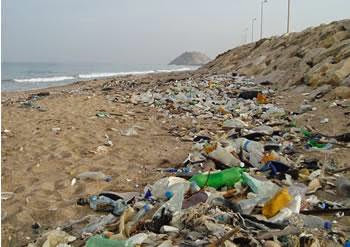 Rapport-bilan de la saison estivale : Les fléaux qui pourrissent l’été des algériens