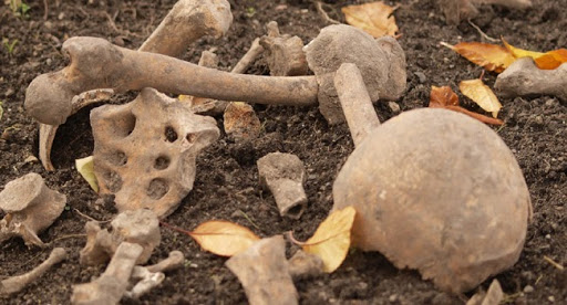 Relizane : découverte de 8 squelettes humains à Oued Rhiou