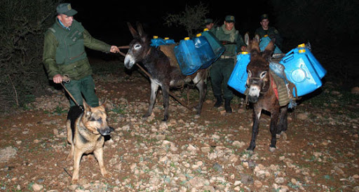 Saisie de 6300 litres de carburant