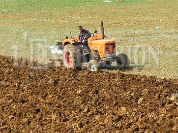 Sécurité alimentaire en Algérie : L’adhésion à l’omc inquiète toujours