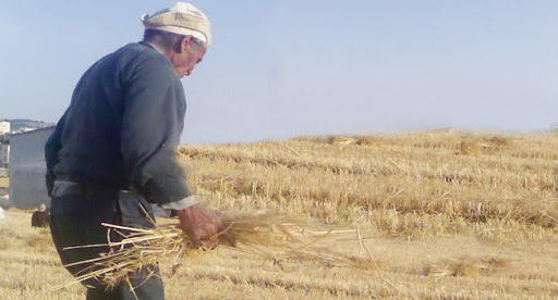 Terres expropriees entre El Barki et l’usto : des fellahs à Oran en colère