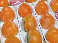 Tizi ouzou : La plaquemine à l’honneur à mechtras