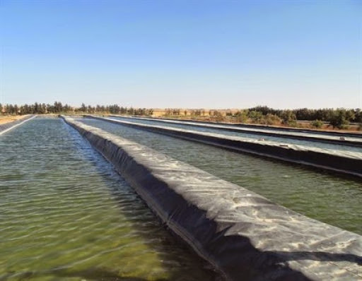 Tizi Ouzou: signature de la charte d’adhésion volontaire au plan « Aquapêche 2020 »