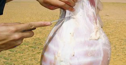 Tragique décès d’un homme de 37 ans à Tiaret