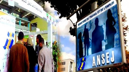 Une maison de l’entrepreneuriat verra bientôt le jour à l’université de Laghouat