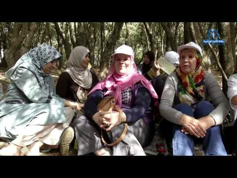 Une randonnée pédestre contre le cancer du sein