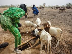 Wilayas de l&rsquo;extrême sud : des forages d’eau et des kits solaires gratuits pour les agriculteurs