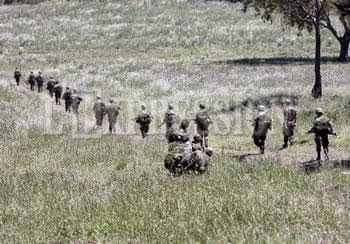 Bouira : L’armée ratisse au djurdjura