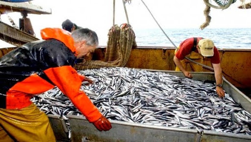 Constantine : commercialisation de poissons d’eau douce, « nouvelle tendance » des jeunes porteurs de projets