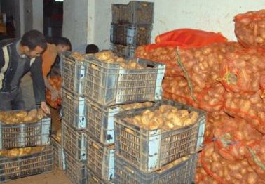 Déstockage à Boumerdes de plus de 35.000 tonnes de pomme de terre