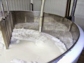 Entrée en production d’une nouvelle laiterie de 400.000 l/j à Rouiba