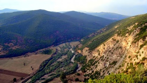 Evocation du parcours de Dzayer Chaib, première martyre de la guerre de libération