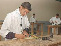 Formation professionnelle, Le Niger intéressé par l&rsquo;expérience algérienne