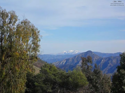 Fusillade dans un bar clandestin près de Tizi Ouzou : Deux personnes blessées