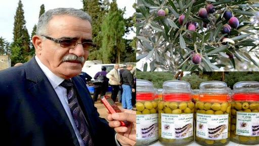 La création d&rsquo;offices oléicoles préconisée à Oran