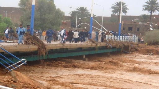 La participation de l’Algérie face aux changements climatiques soulignée à Mascara