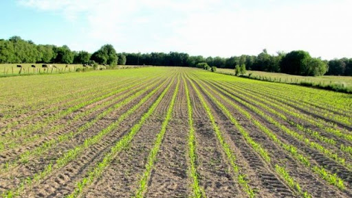 La promotion de l’agriculture familiale exige organisation et mesures incitatives