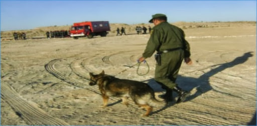 L’ANP intercepte 44 contrebandiers étrangers aux frontières du Sud