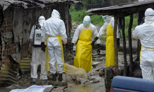 L’avancée d’Ebola au Mali inquiète en Algérie, Les autorités sanitaires visent la réduction du risque d’intrusion