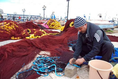 Le ministère de la Pêche et des Ressources halieutiques a mis en application, récemment à Alger