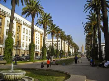 Le premier ministre marocain a participé à la célébration du 1er novembre : Le geste de benkirane