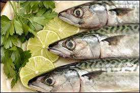 Le secteur de la pêche au centre du quinquennat 2015-2019, Le poisson toujours plus cher