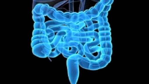 Nutrition : Surveillez votre écosystème intestinal