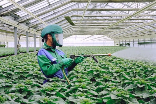 Organisation nationale du développement de l’agriculture : Les défrichements menacent la steppe et des millions de bêtes