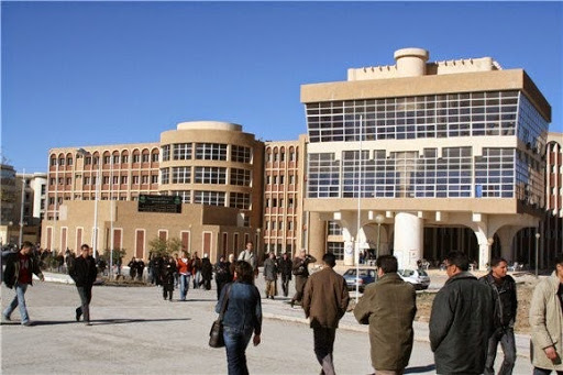 Regards croisés sur les procédés de traduction et d’adaptation en Tamazight : Un moyen de sauvegarde