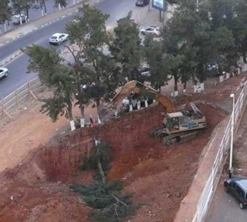 Spoliation des espaces verts à Alger : la mafia foncière et les autorités pointées du doigt