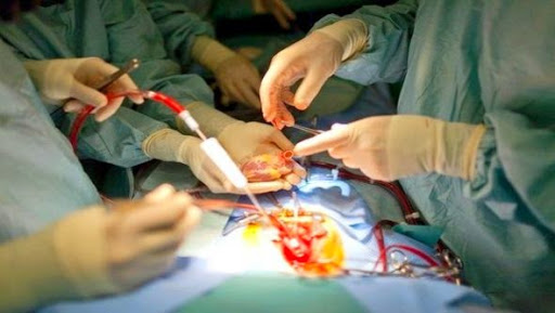 Transplantation rénale: Les dons ont sensiblement baissé