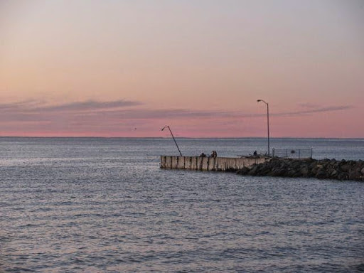 5E congrès du secteur de la pêche, Des recommandations et des attentes