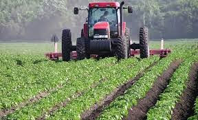 Agriculture : Le crédit R’fig pour la campagne labours-semailles dépasse les 2,3 milliards de dinars à Guelma