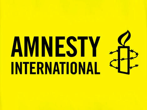 Alors que la Palestine obtient le statut de membre observateur à la CPI,  Amnesty International accuse Israël de crimes de guerre